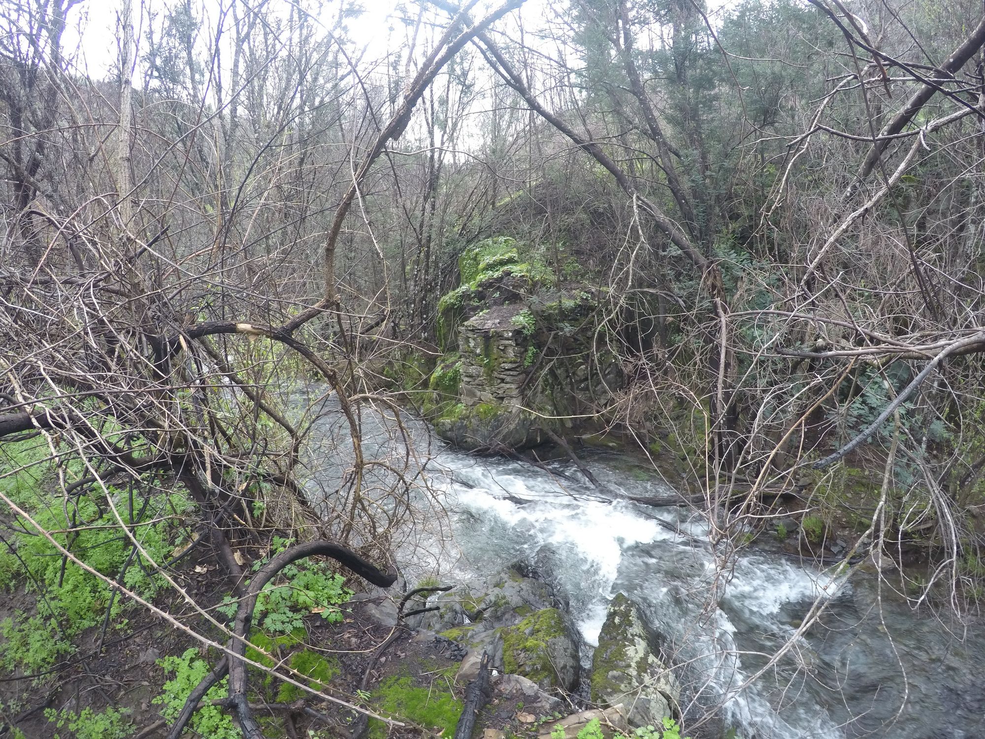 Am Fluss_mögliche Brücke